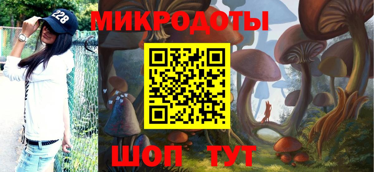 Галлюциногенные грибы Psilocybe Кемерово