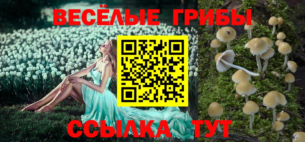 Псилоцибиновые грибы MAGIC MUSHROOMS  купить   Кемерово  Вход с VPN 